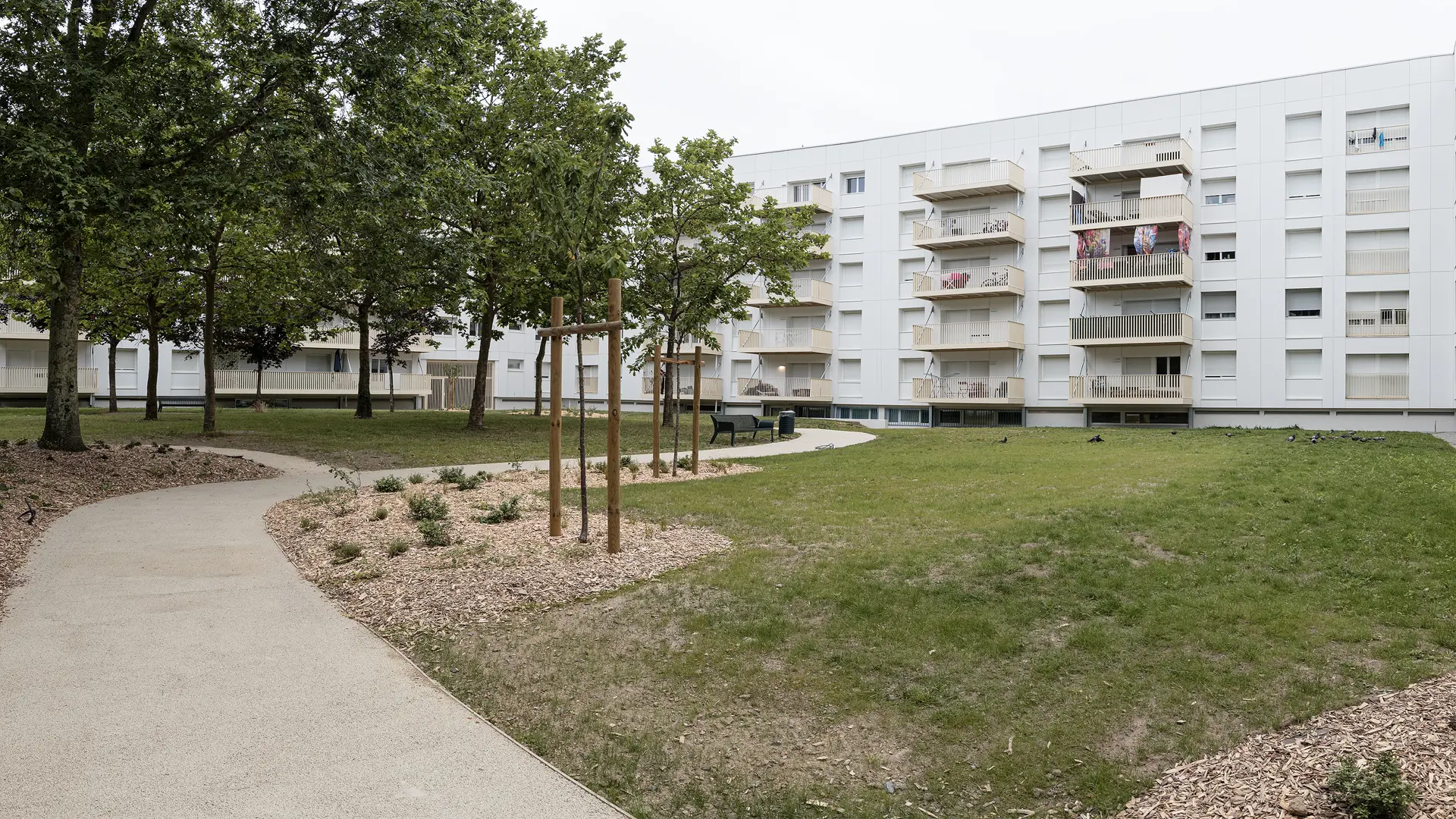 Reportage photo du parc paysager partagé au pied des immeubles résidentiels rénovés (Nantes Métropole Habitat) dans le quartier Bottière.